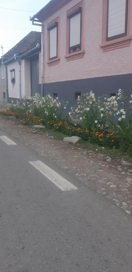Willa Casa Maior Sacel  Zewnętrze zdjęcie