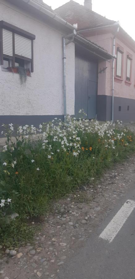 Willa Casa Maior Sacel  Zewnętrze zdjęcie